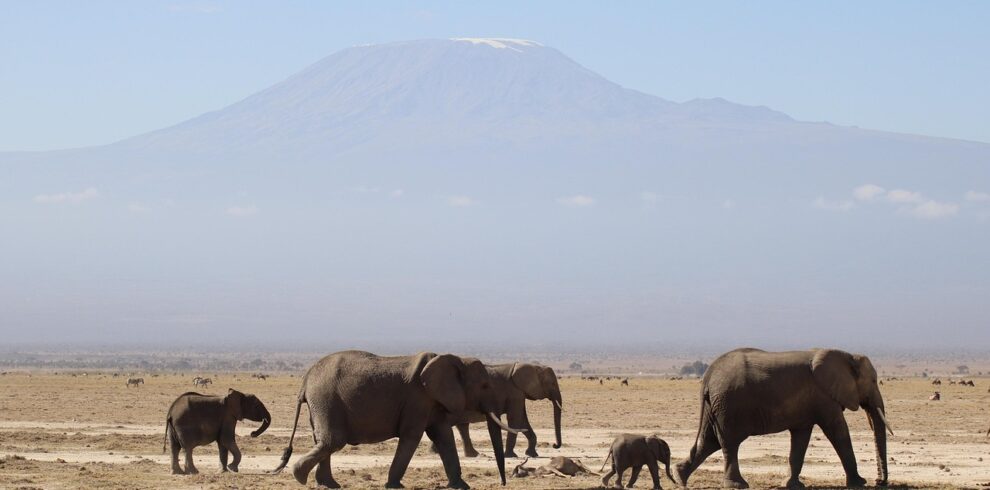 amboseli-national-park